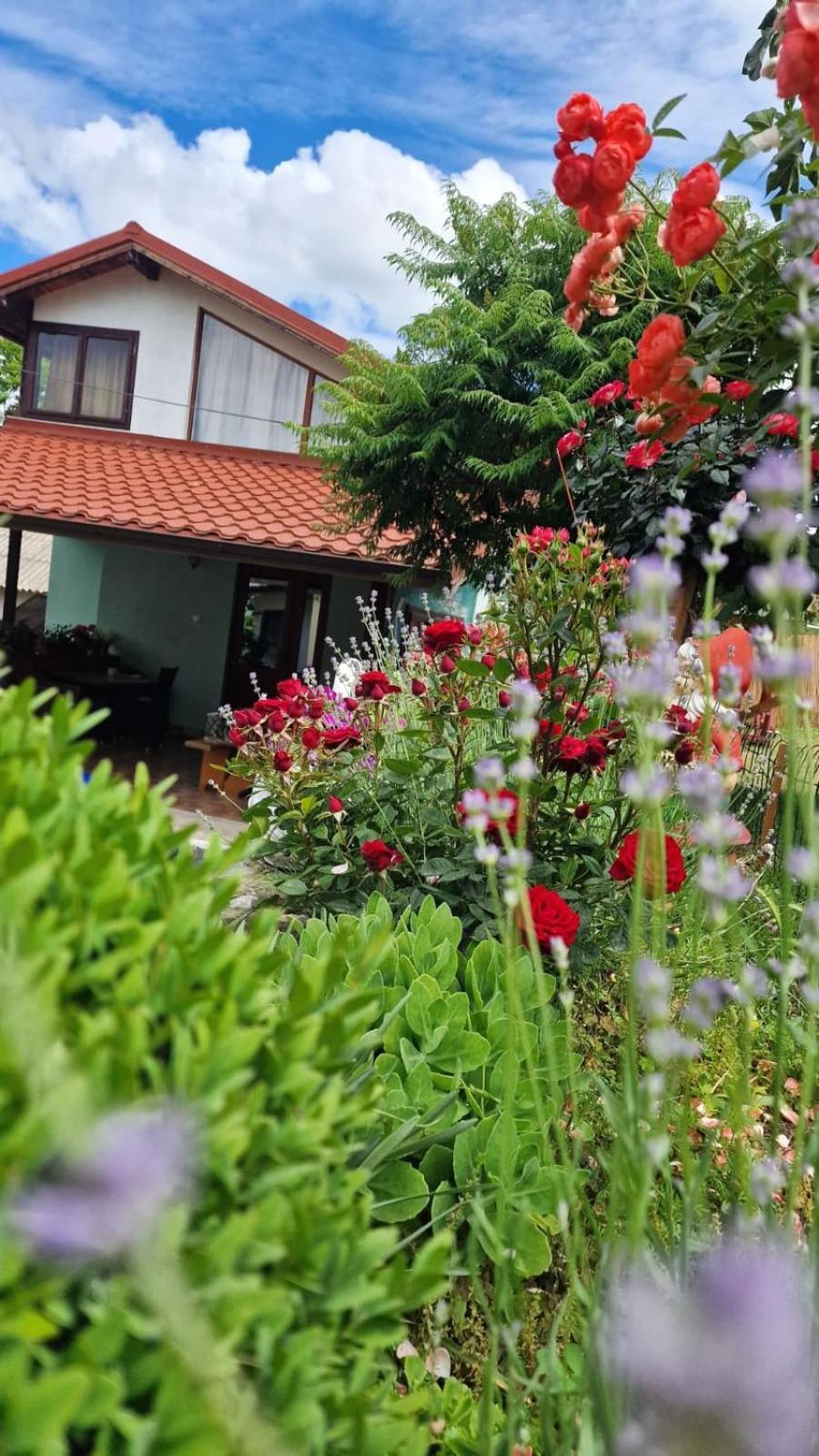 Casa Adi Si Maria Hotel มาห์มูเดีย ภายนอก รูปภาพ