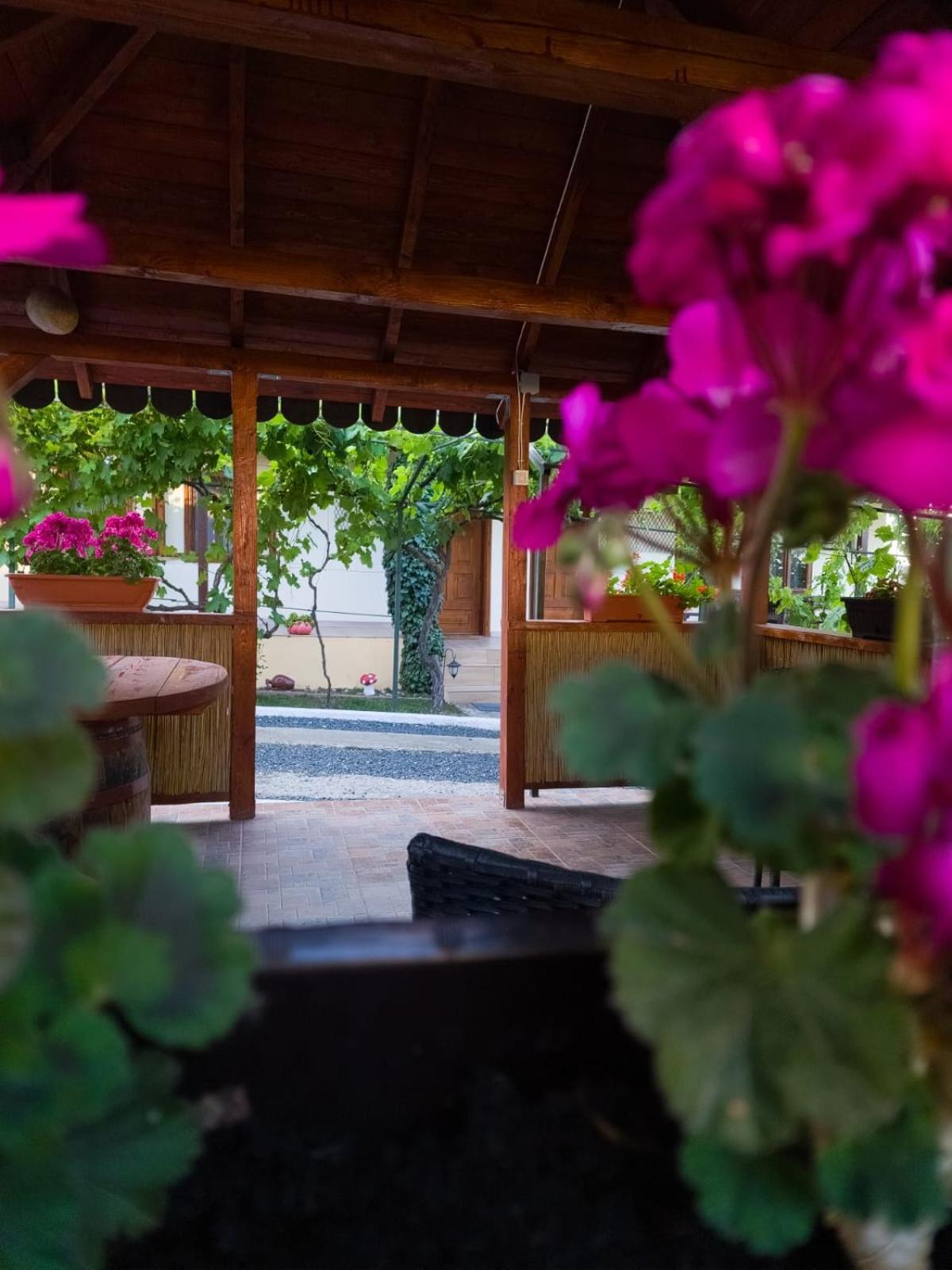 Casa Adi Si Maria Hotel มาห์มูเดีย ภายนอก รูปภาพ